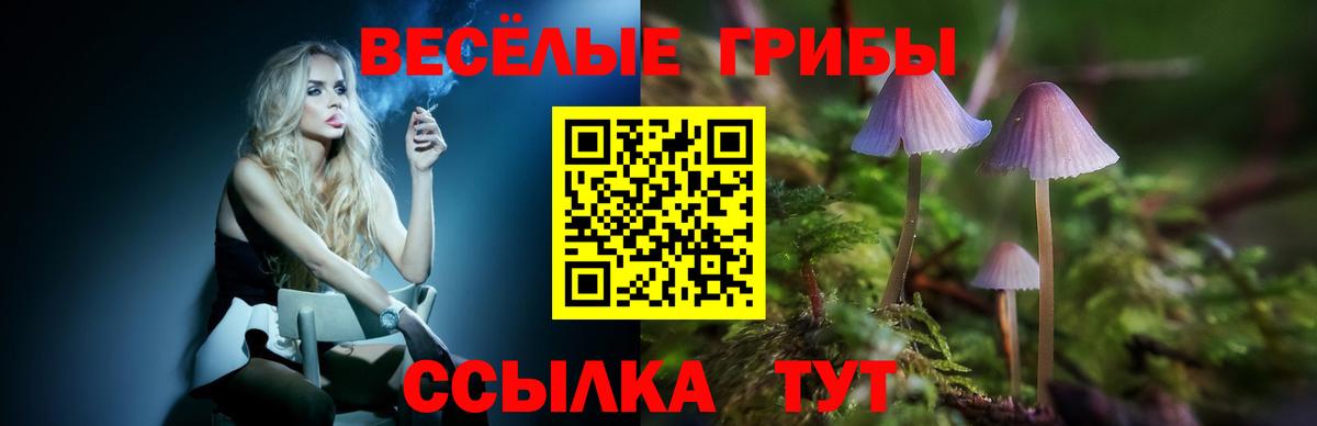 Галлюциногенные грибы прущие грибы  Вход с VPN  Кандалакша 